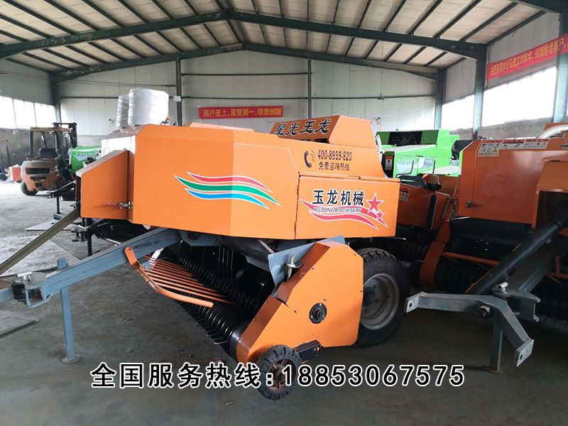 星光玉龍 (6).jpg 星光玉龍