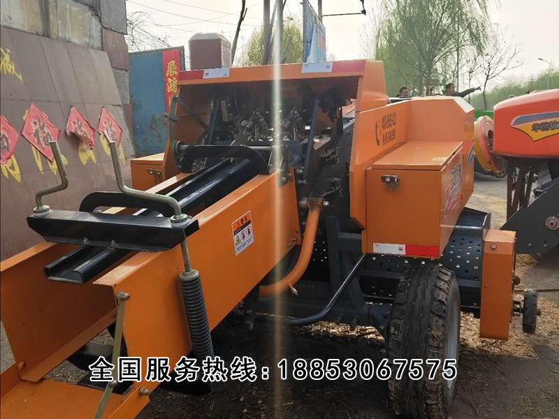 星光玉龍 (5).jpg 星光玉龍