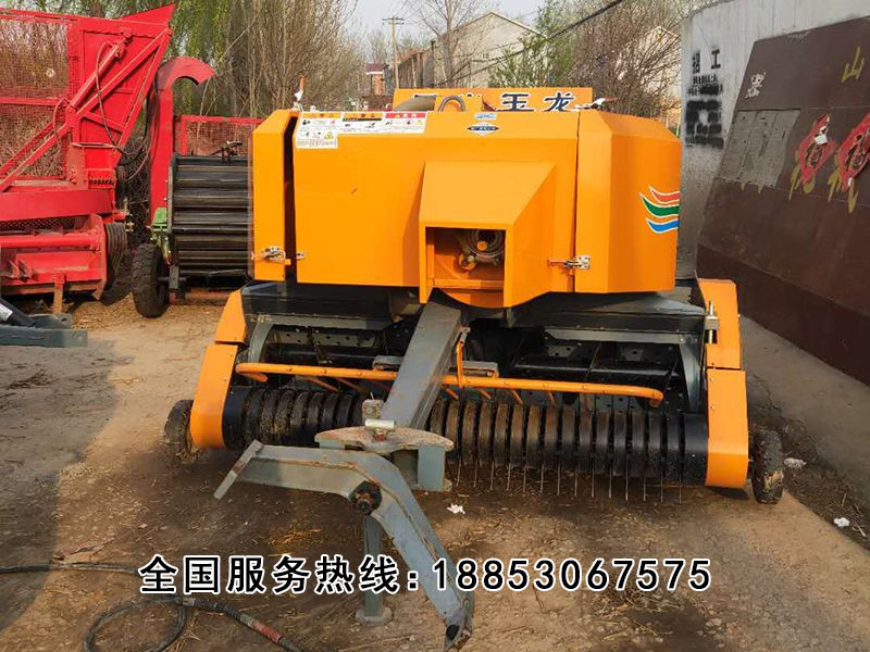 星光玉龍 (4).jpg 星光玉龍