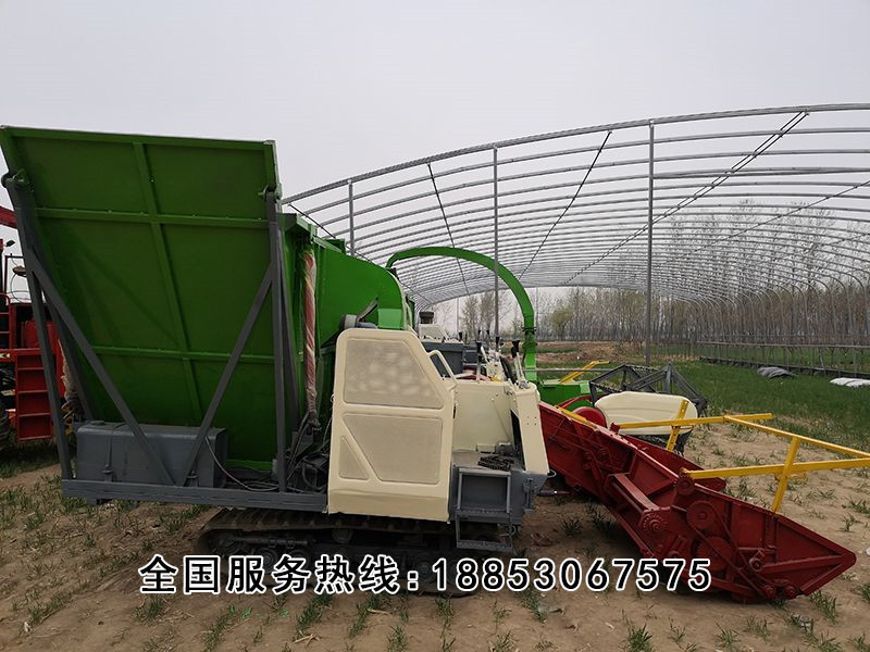 地滾dao式 (7).jpg 地滾dao式