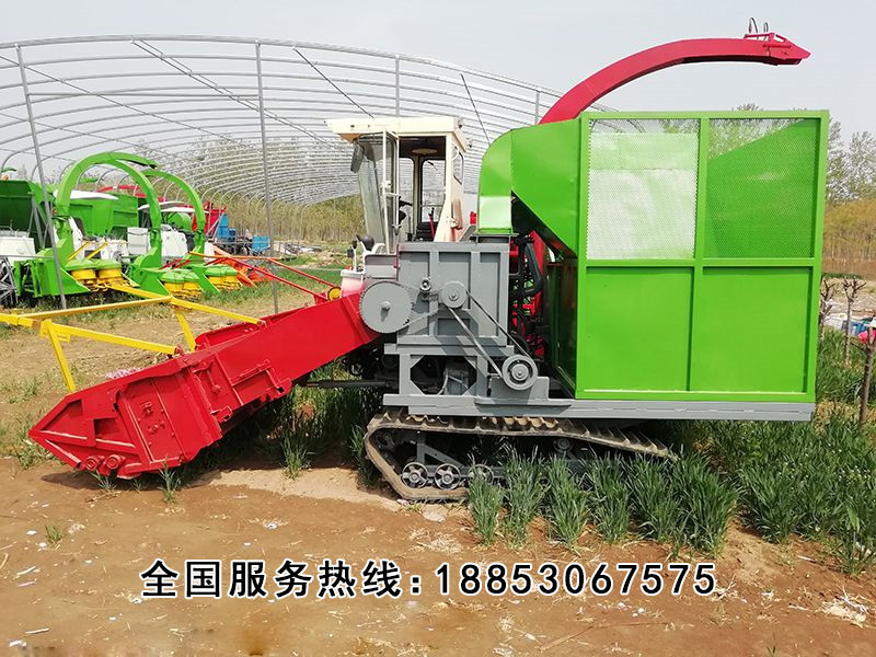 地滾zui式 (8).jpg 地滾zui式