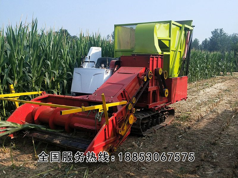 地滾dao式 (6).jpg 地滾dao式