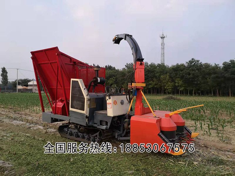 履帶式圓盤青儲機(jī)